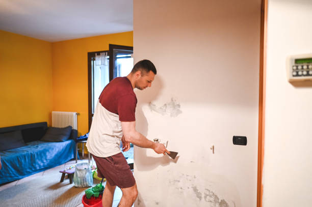 Best Black Mold Removal  in Blue Point, NY